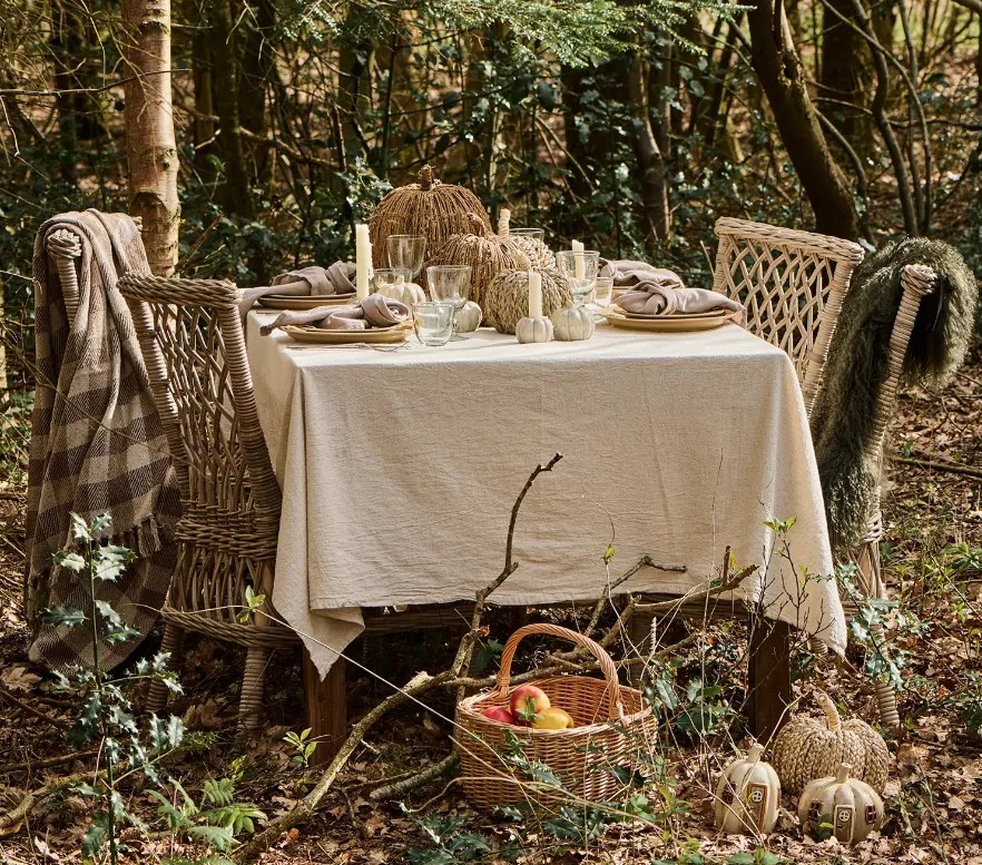 AKCIÓ Dísztök PUMPKIN COACH GRASS II. osztály