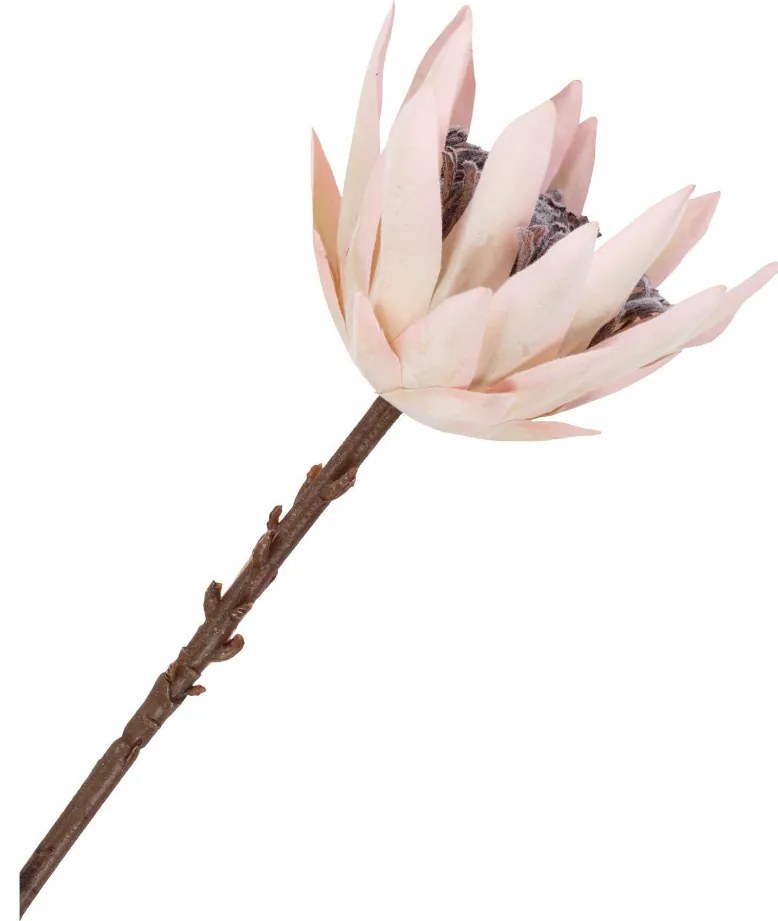Protea művirág csokor 65 cm