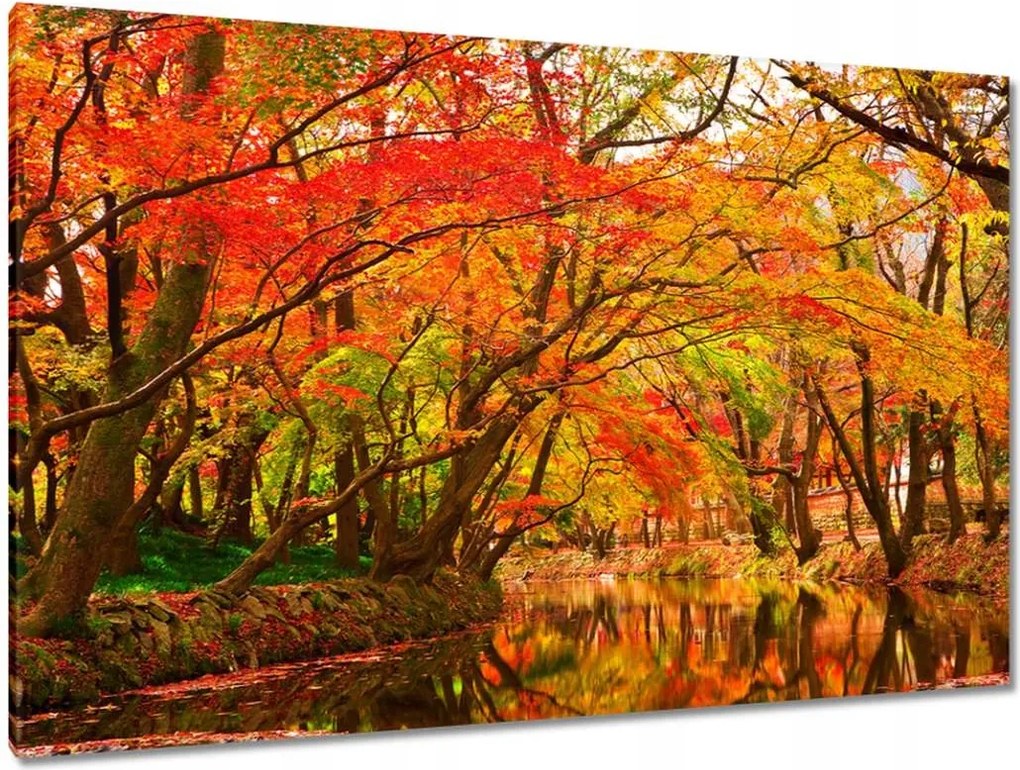 Festmények 120x80 Őszi tájkép folyóval