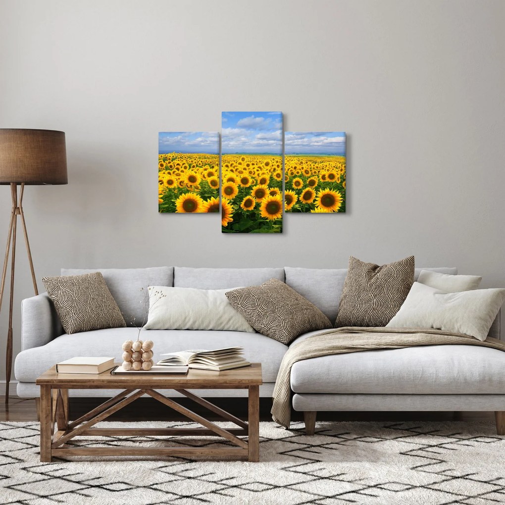 A napraforgó mező képe (90x60 cm)