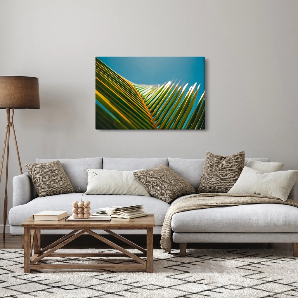 Kép - A pálmalevél részlete (90x60 cm)