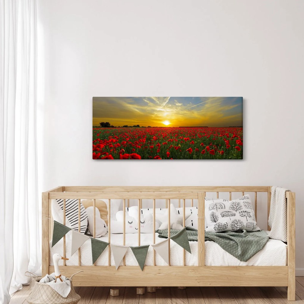 Egy kép a pipacs mezőről (120x50 cm)