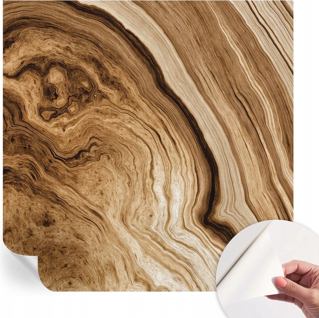 Dekoratív öntapadós fotótapéta irodába Fa tégelyek 250x250 cm