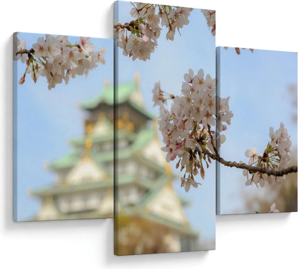 Kép - Sakura (90x60 cm)
