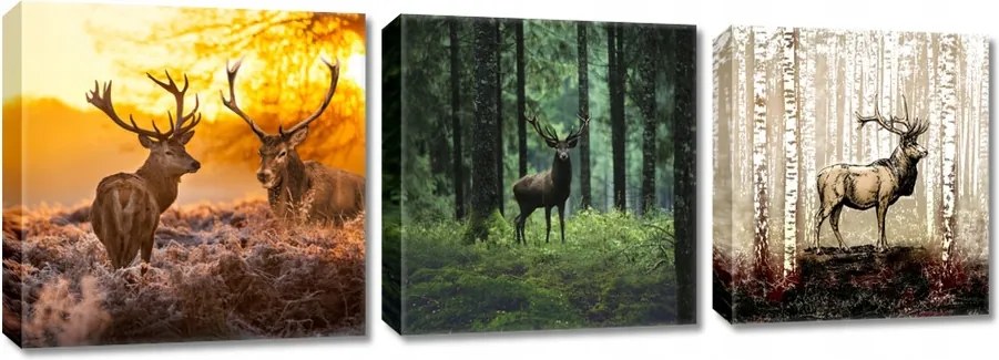 Képek Triptichon 3x 30x30 Szarvasok Triptichon Rykowisko