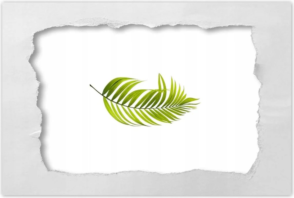 Poszterek 120x80 Zöld levél Minimalizmus