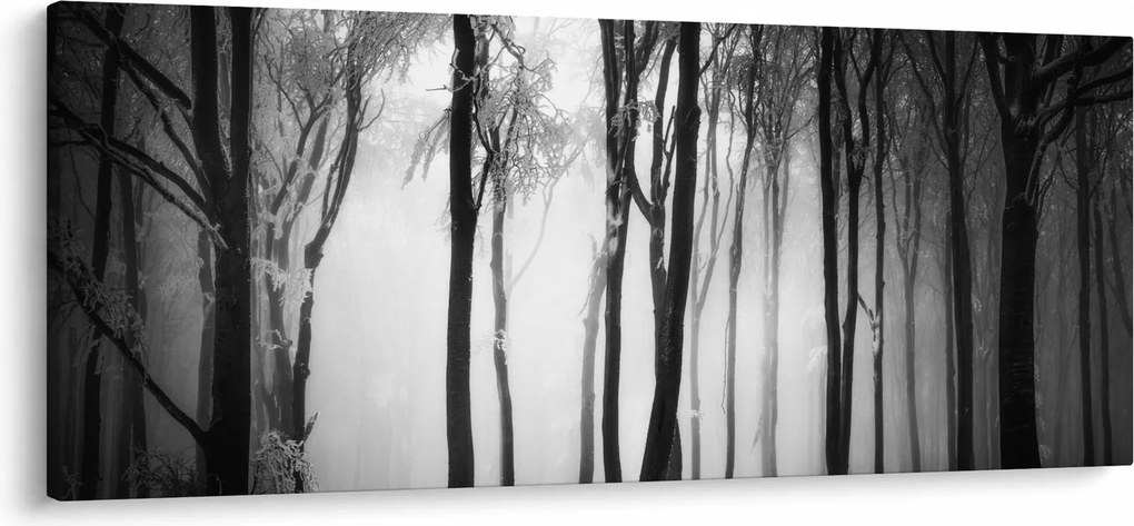 Kép - Farkas a sötét erdőben (120x50 cm)