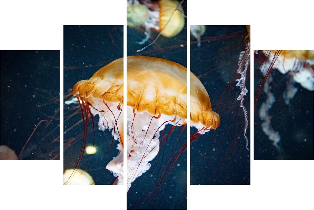 Medúza képe (150x105 cm)