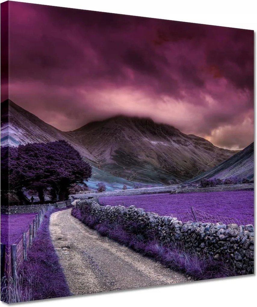 Vászonkép 30x30 Lila tájkép