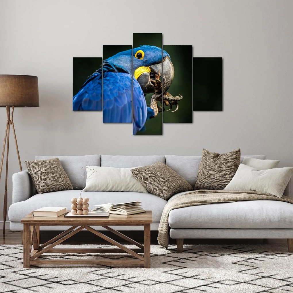 Papagáj képe (150x105 cm)