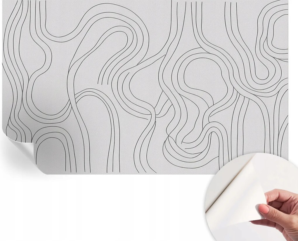 Öntapadós fali fotótapéta Hálószobába Organikus vonalak 416x254 cm