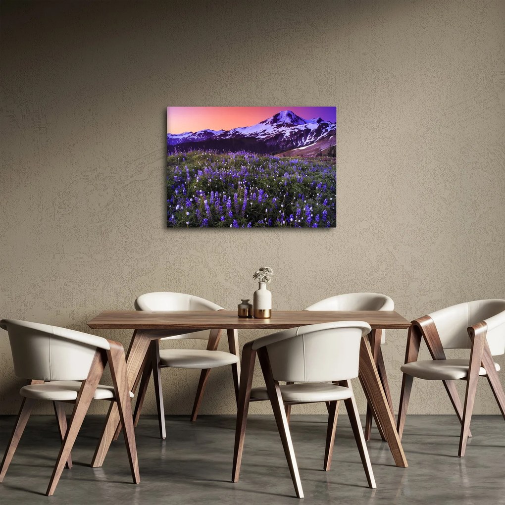 Kép - Vulkán és a virágok (70x50 cm)