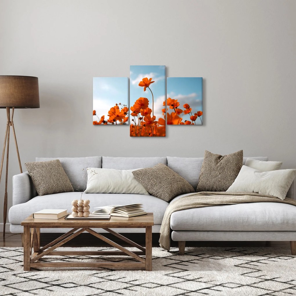 Kép - Réti virágok (90x60 cm)