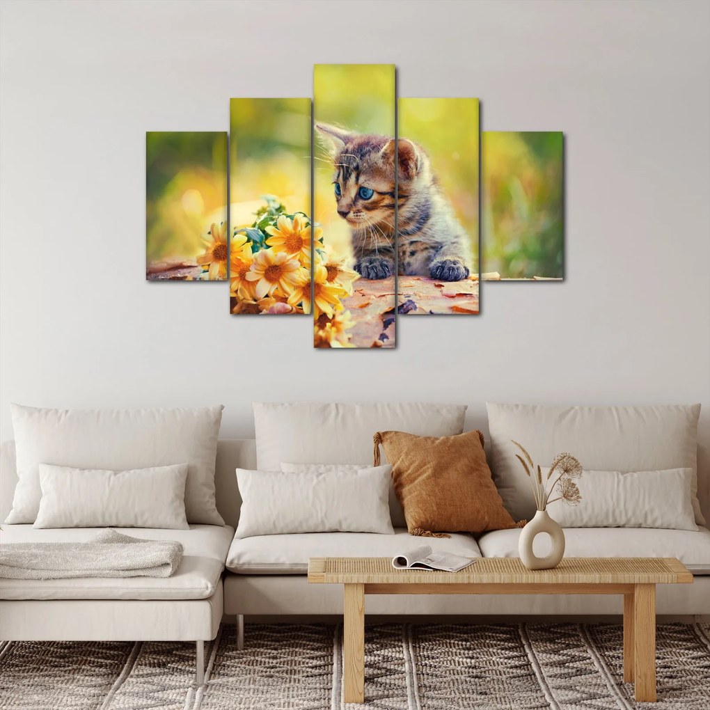 Macska képe ahogy a virágot nézi (150x105 cm)