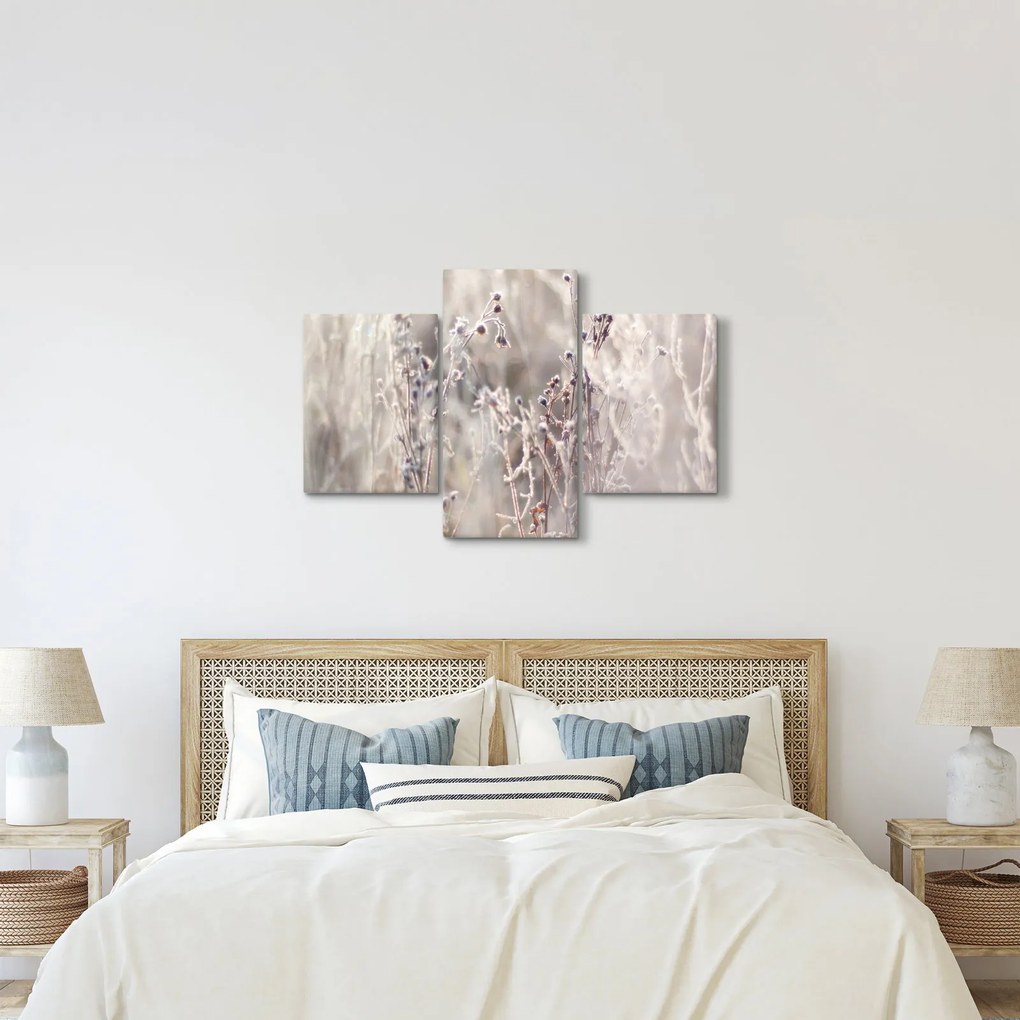 Kép - Növény (90x60 cm)