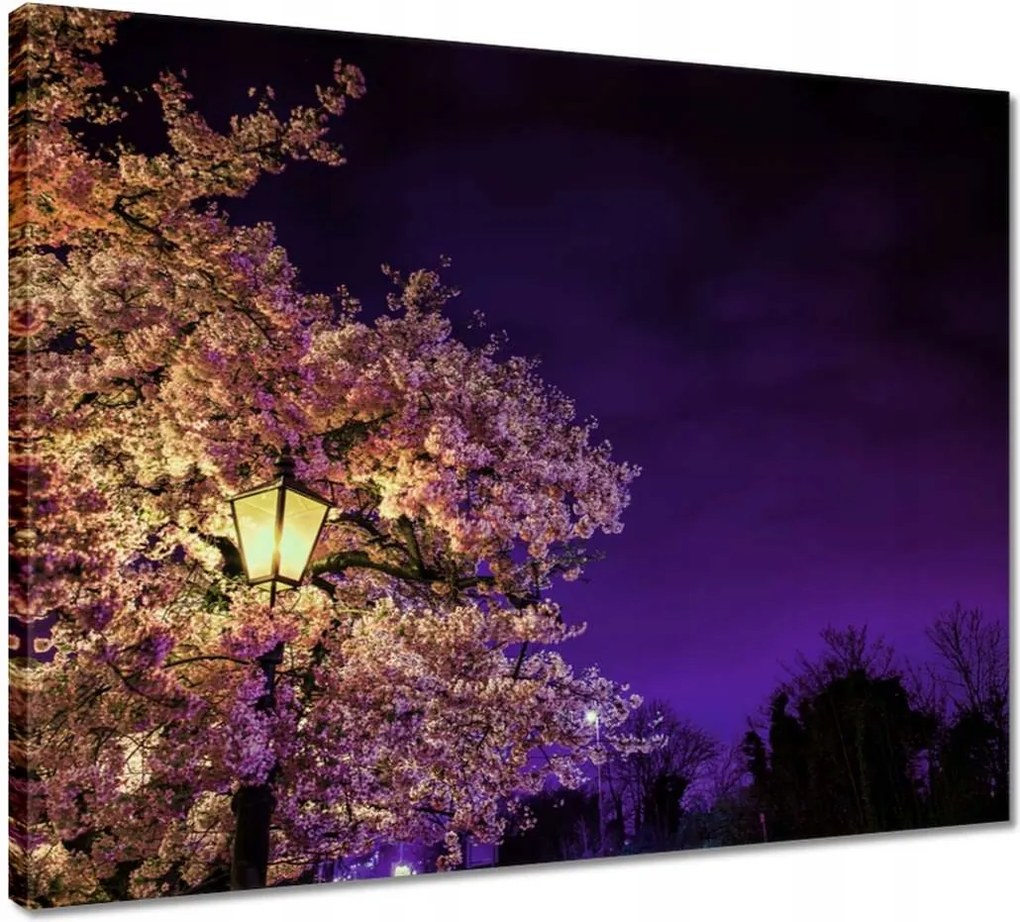 Vászonkép 50x40 Éjszakai motívum a nappaliba