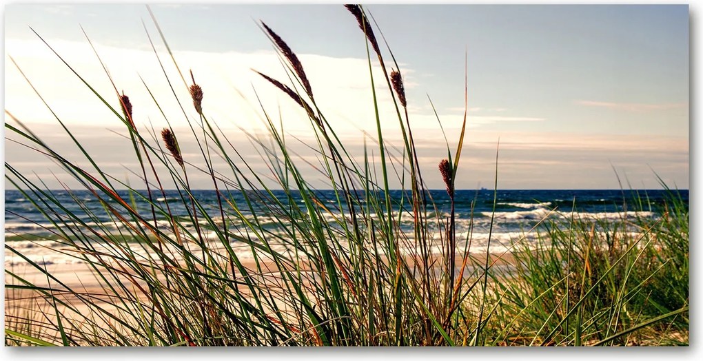 Konyhai panel Tengerparti dűnék 100x50 cm Ragasztó