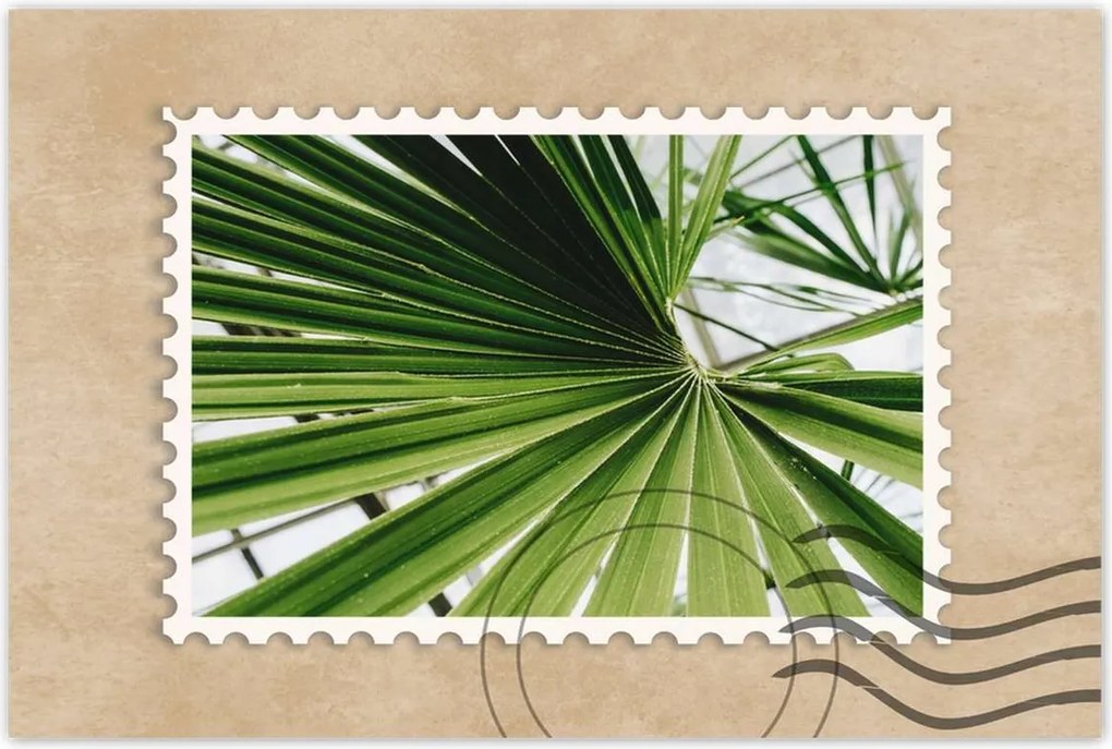 Poszter 60x40 Pálmalevél Levél