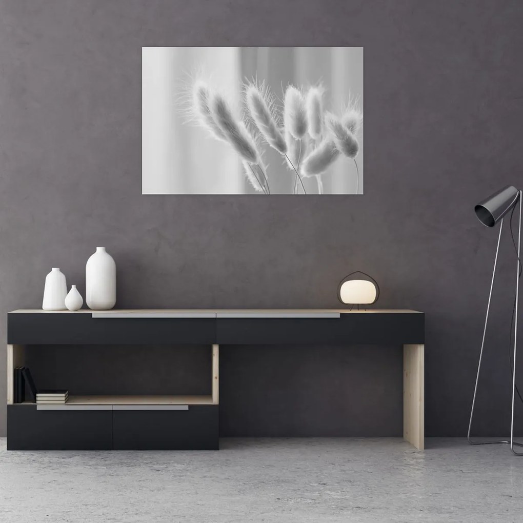 Kép - Nyuszi farok fű (90x60 cm)