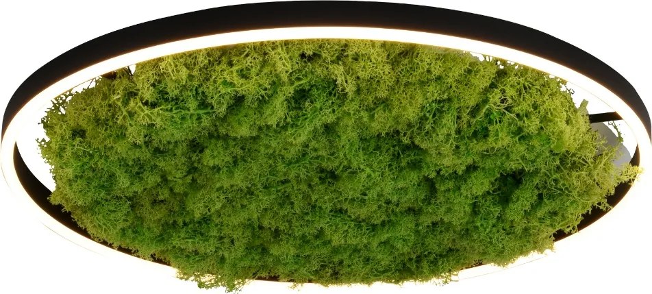 Paul Neuhaus modern skandináv mennyezeti lámpa green ritus zöld pln15392-66