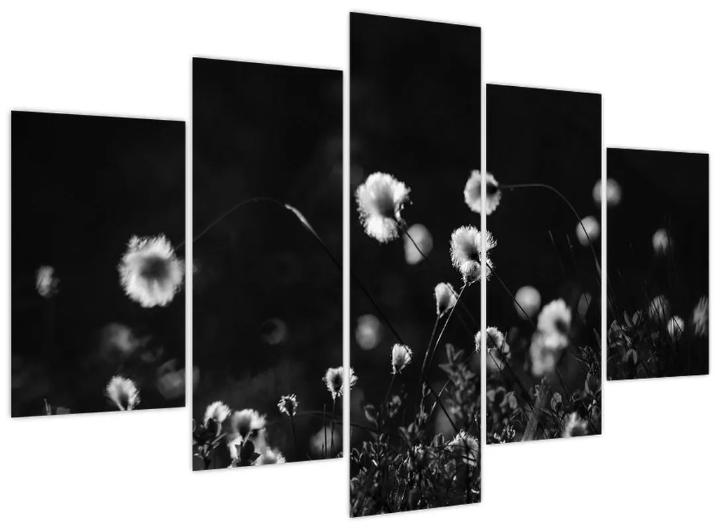 Kép - Gyapotfűvel borított rét N⁰1 (150x105 cm)