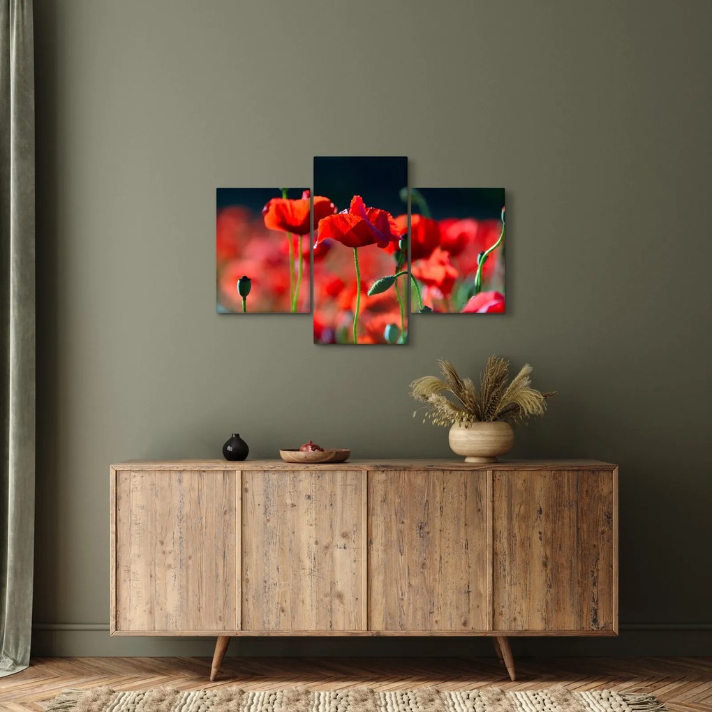 Kép - pipacsok (90x60 cm)
