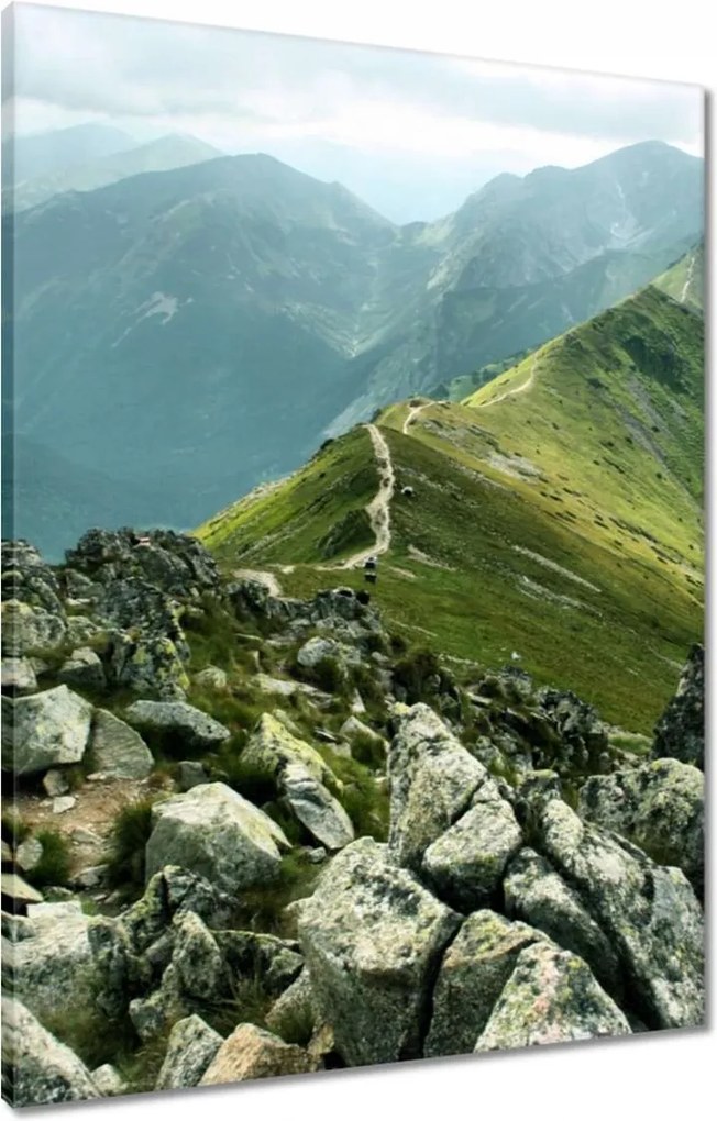 Vászonkép 60x80 Tátra csúcs