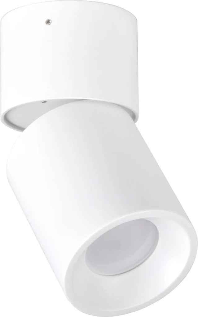 Mennyezeti lámpa Led Falra szerelhető lámpatest Mozgatható szem spot cső GU10 fehér Nixa