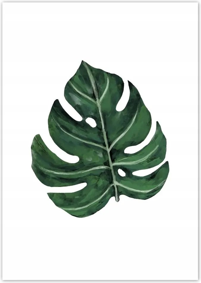 Poszterek A4 Pion Monstera Zöld levél