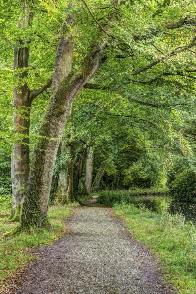 Poszter 30x45cm Ösvény a Basingstoke csatorna mentén, Assaf Frank