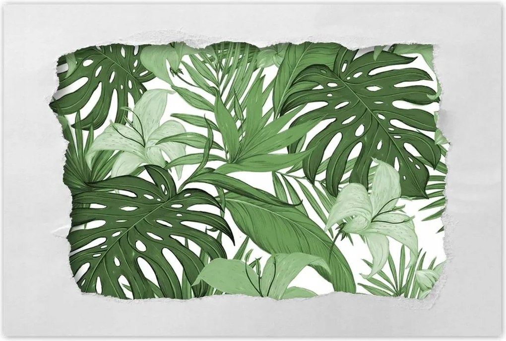 Poszterek 60x40 Monstera Modern minta