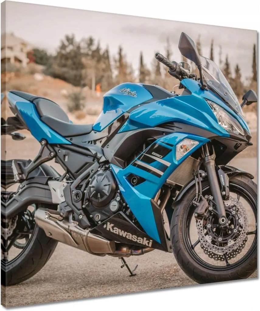 Vászonkép 50x50 Motorkerékpár Kawasaki Ninja