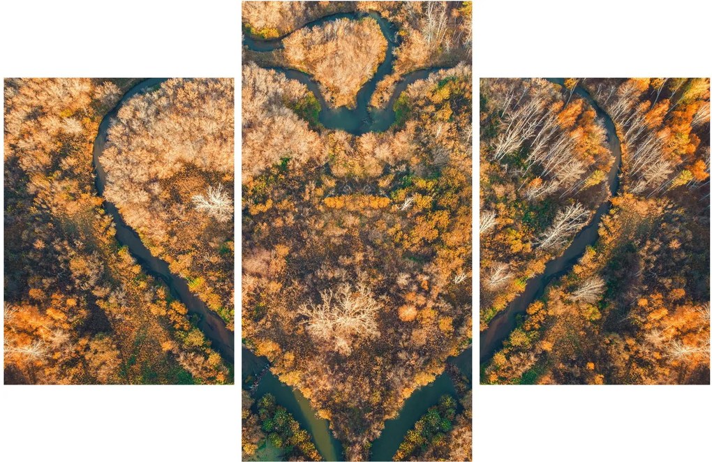 Kép - Szív alakú folyó (90x60 cm)