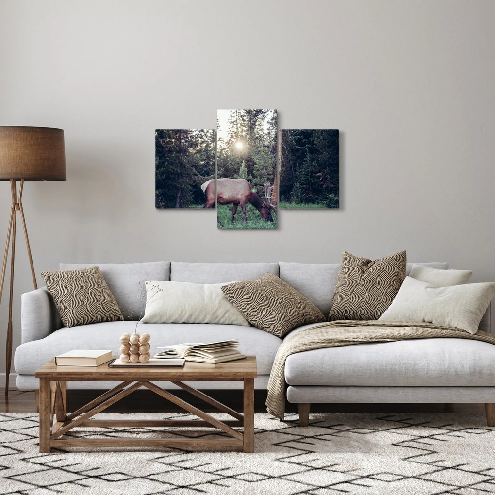 Kép - Jávorszárvas a tisztáson (90x60 cm)
