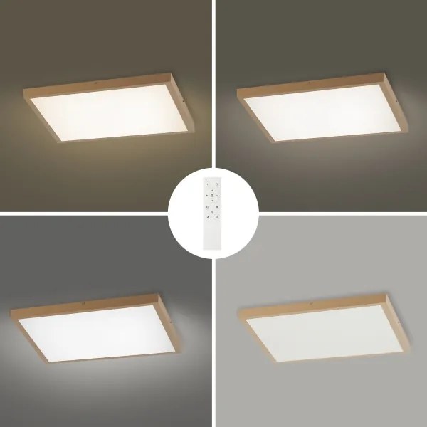 Brilagi - dimmelhető LED fürdőszobai világítótest FRAME SMART LED/50W/230V 60x60 IP44 + távirányító