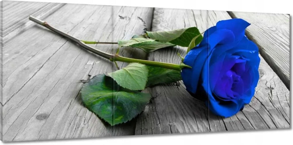 Vászonkép 150x70 Kék rózsa a deszkákon