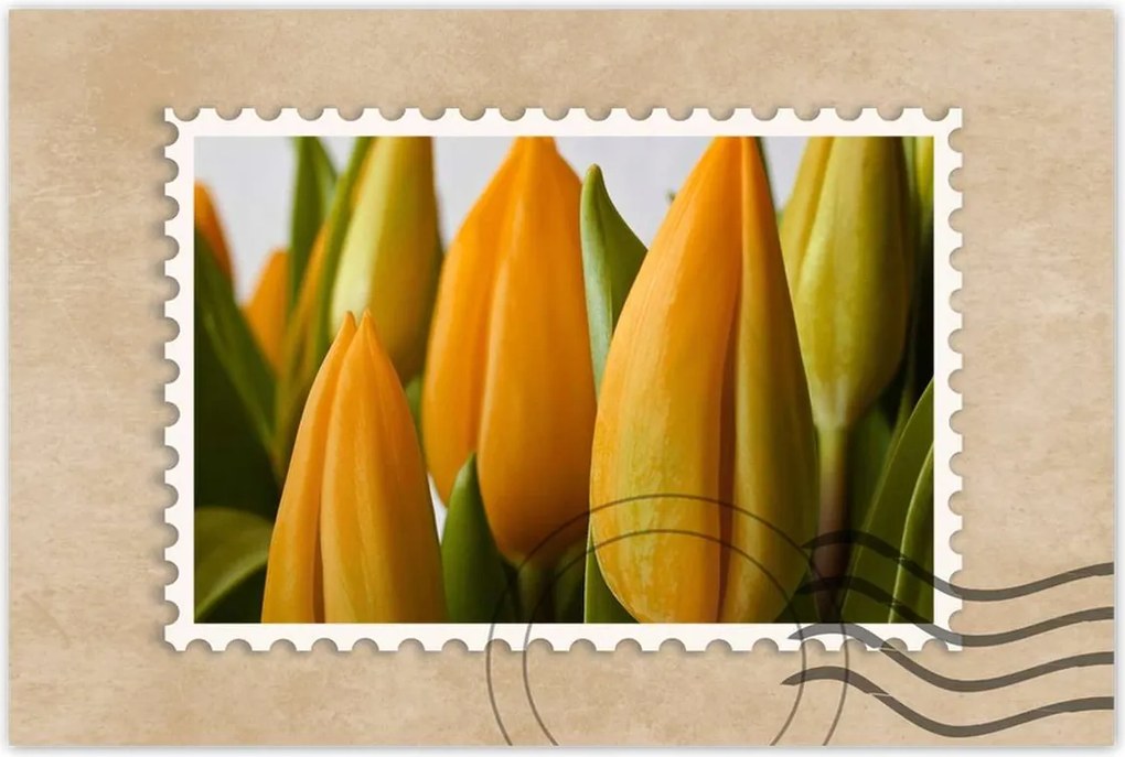 Poszterek 90x60 Sárga tulipánok