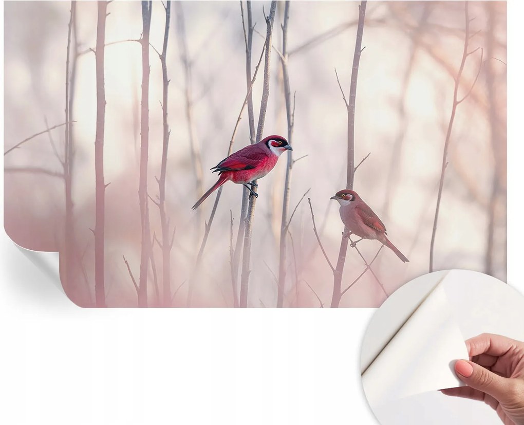 Öntapadós Dekoratív Fotótapéta Hálószobába Madárpár 416x254 cm