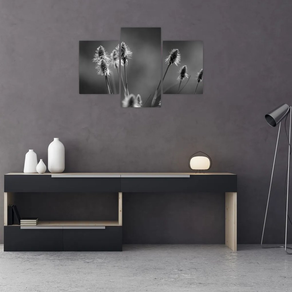 Kép - Bézs színű puha fű N⁰2 (90x60 cm)