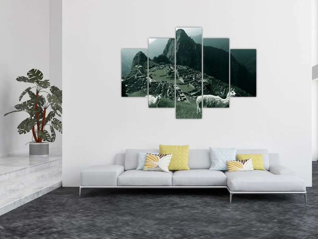 Kép - Lámák a perui Machu Picchunál (150x105 cm)