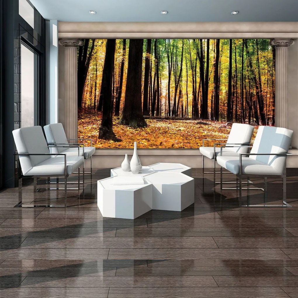 Fotótapéta - Őszi erdő (152,5x104 cm)