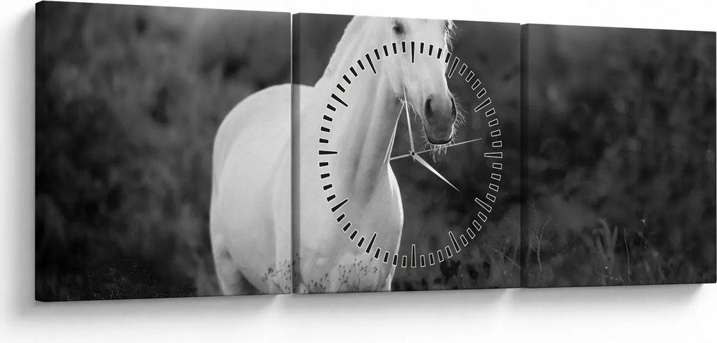 Egy fehér ló képe egy réten, fekete-fehér (órával) (90x30 cm)