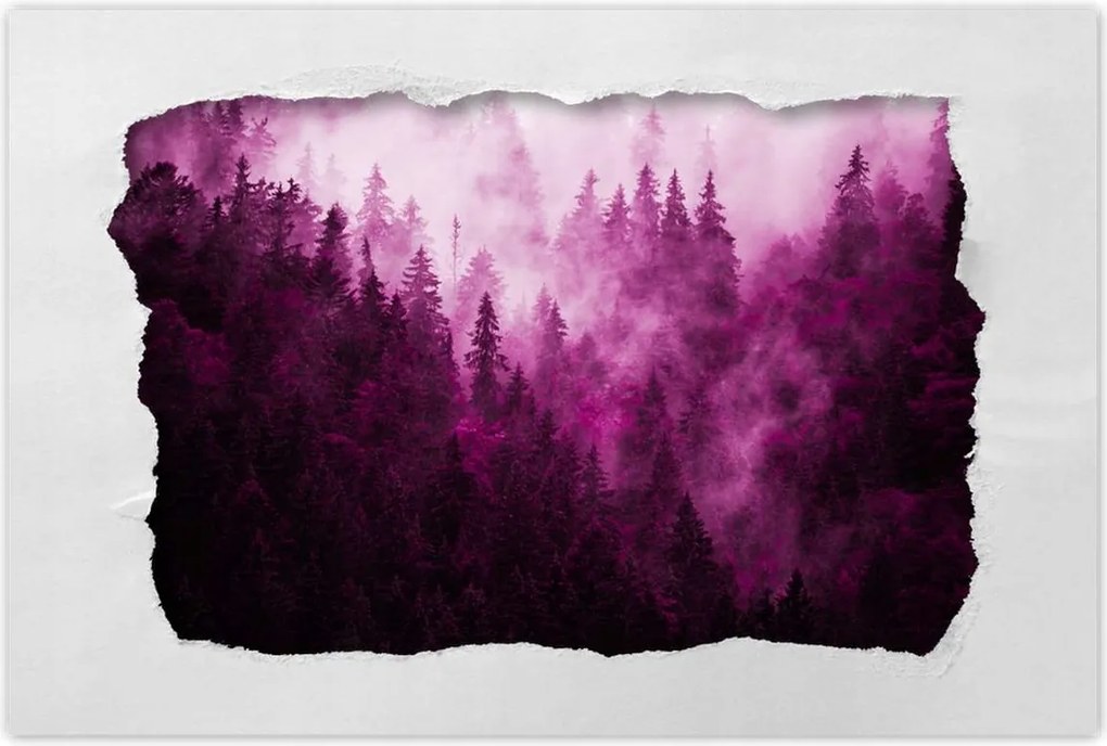 Poszterek 90x60 Tájkép Rózsák Hegyek Köd