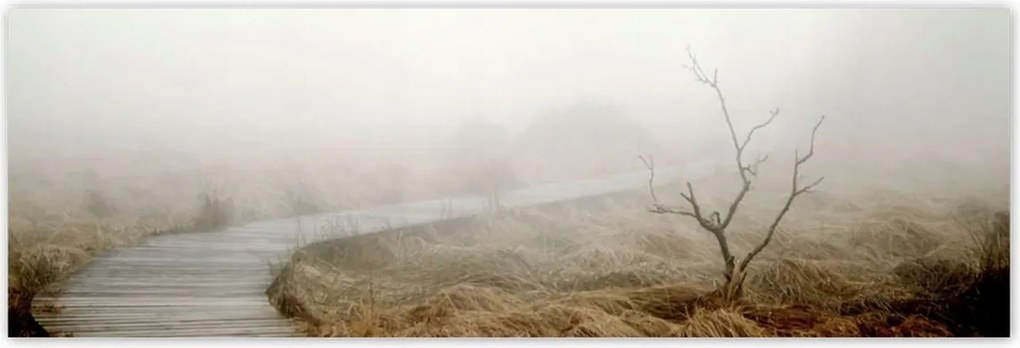 Poszterek 200x66 Reggeli fények