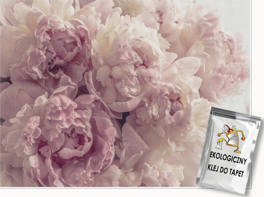 Fotótapéta Virágok Bazsarózsa Rózsaszín Hálószoba Nappali Fali Tapéta 400x280