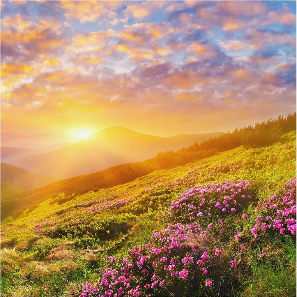 Divatos Flizelin Tapéta Ragasztóval Fali 3D Hegyi nyugat 250x250 Ragasztó