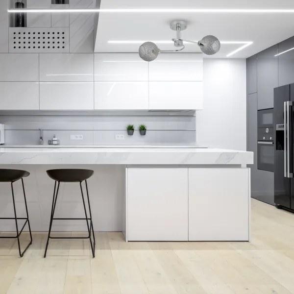 Felületre szerelhető csillár OAKLAND 2xE27/60W/230V