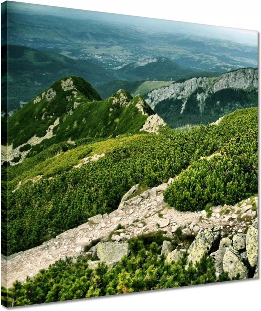 Vászonkép 40x40 Tátra Lengyel hegyek Kilátás
