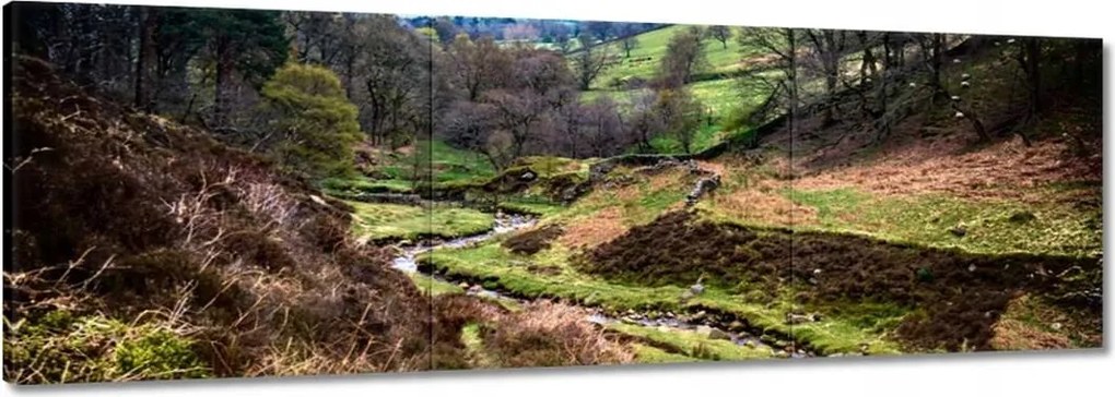 Vászonkép 90x30 Hegyi táj Patak