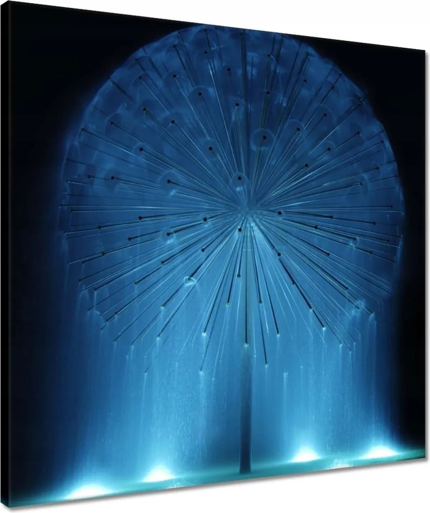 Vászonkép 50x50 Pitypang Virág Virágok